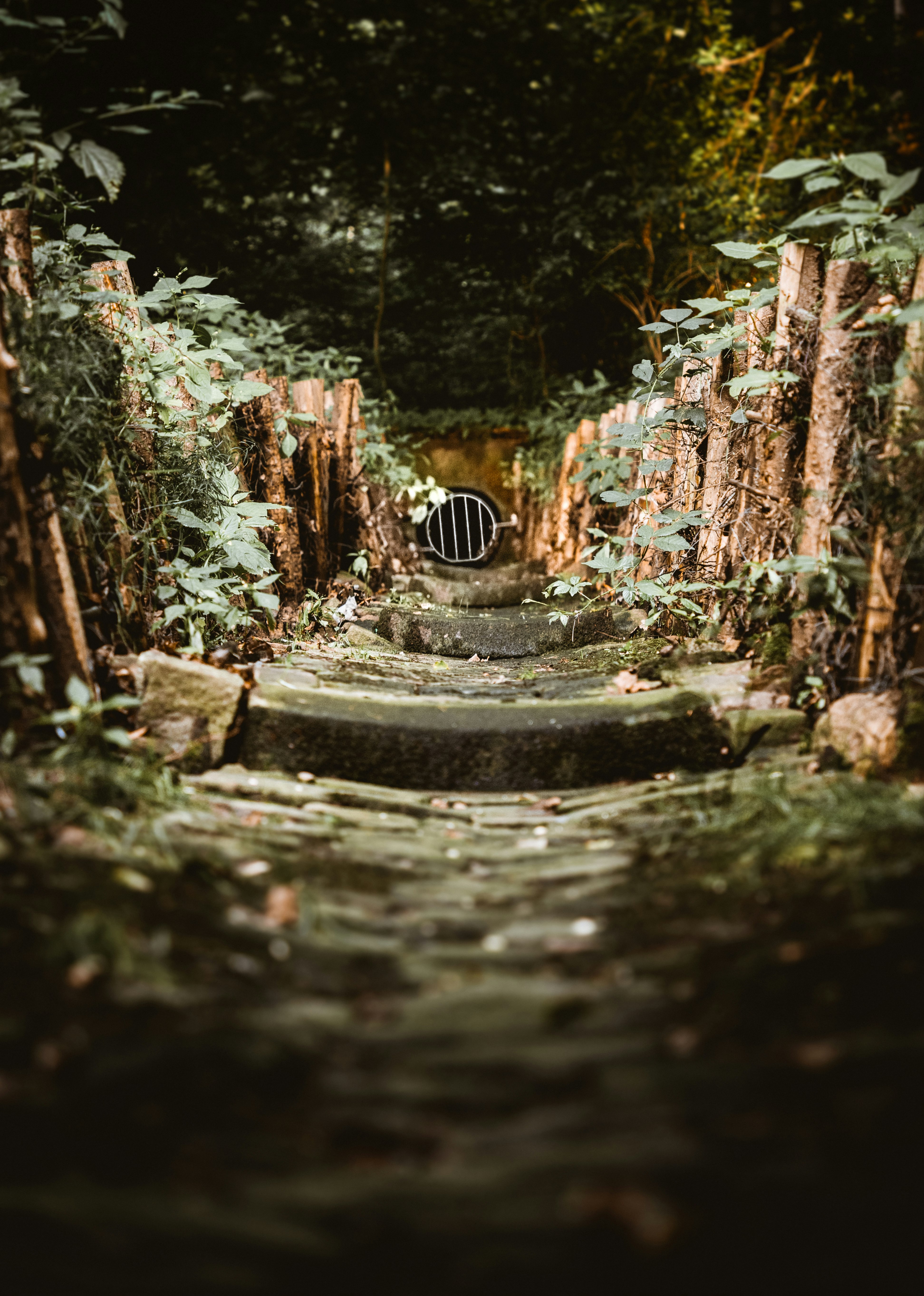 brown wooden bridge over river